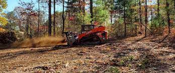 Land Mulching: A Sustainable Solution to Invasive Plant Species